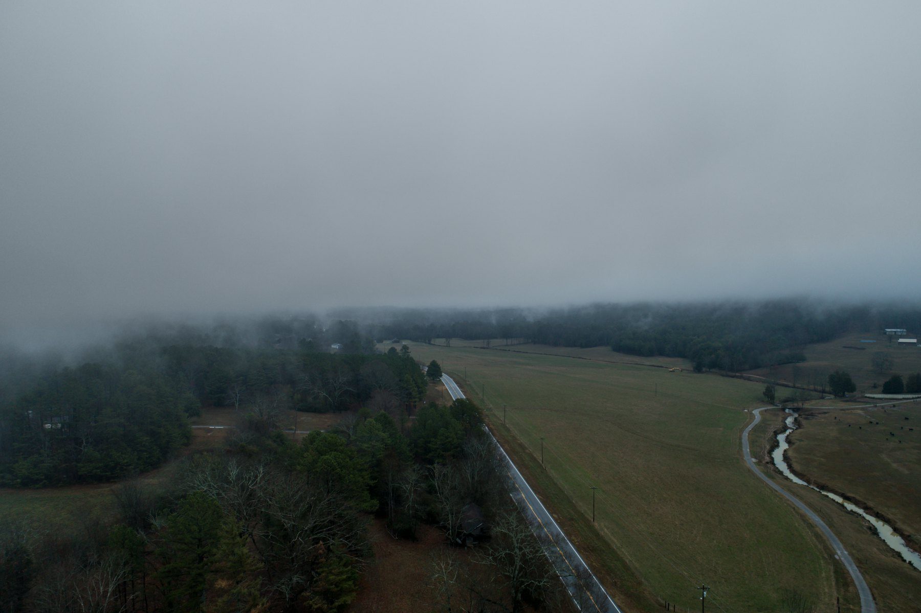 A rural road running through open fields in Georgia